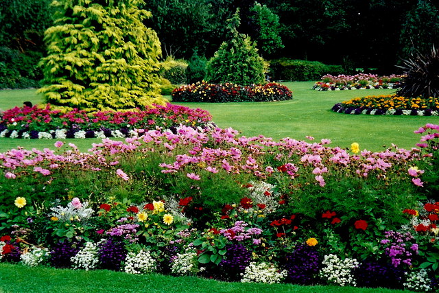 Red Deer Landscaping Service